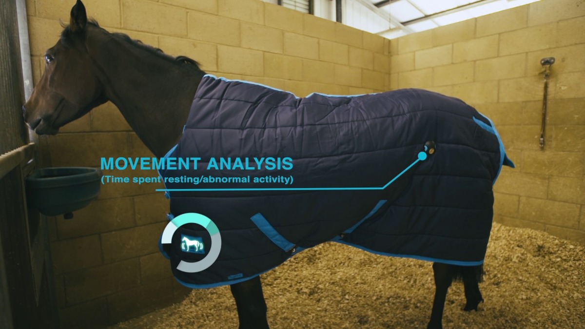 stateline tack product image