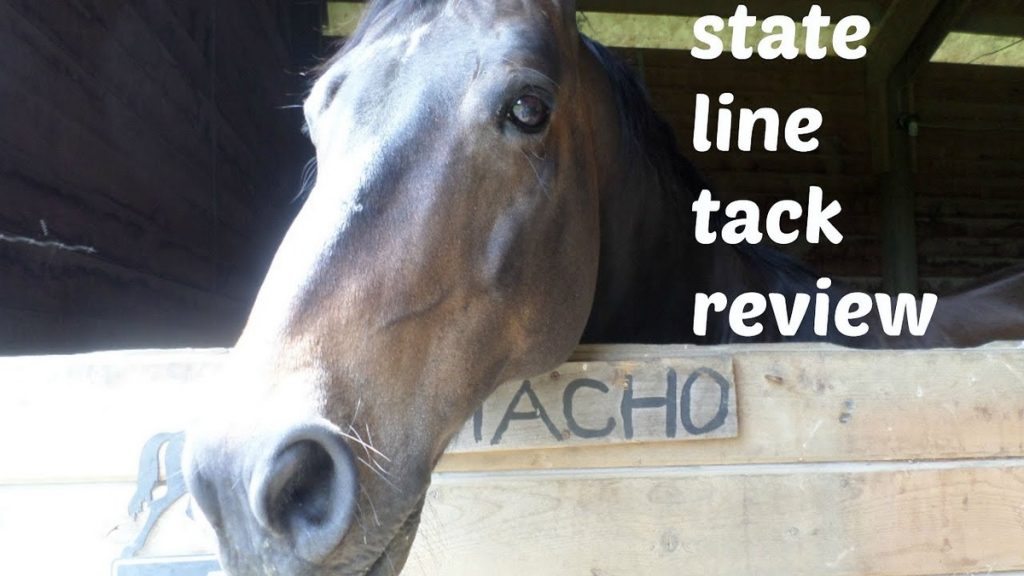 The Ultimate Stateline Tack Review: What I Really Think After Years of Shopping