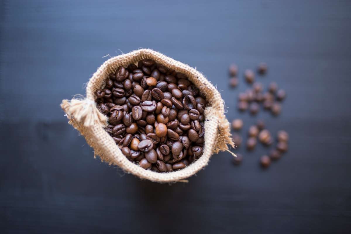 coffee bean product image