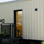 illesteva Eyewear: My Personal Dive into Designer Shades and Frames