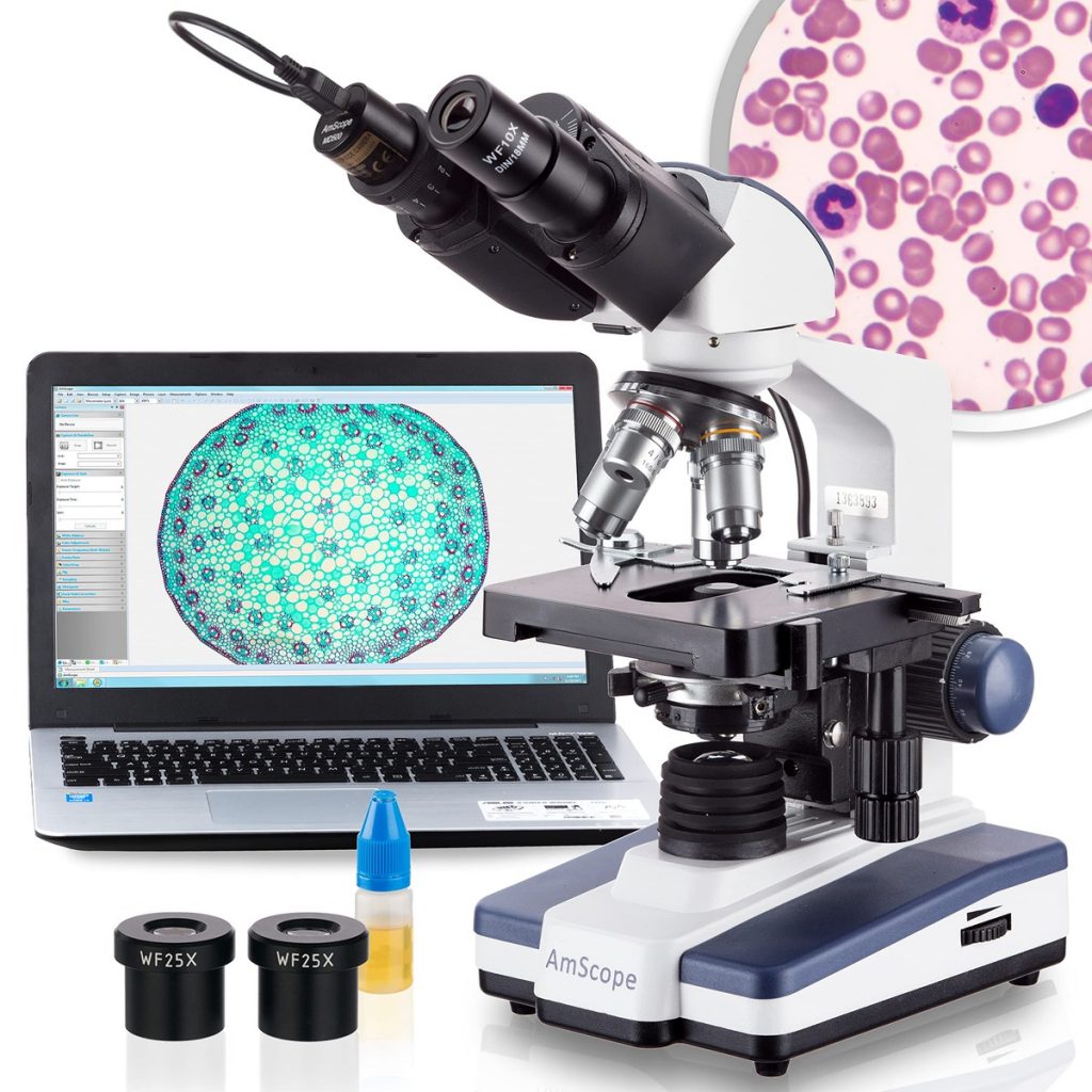 Peeking into the Microscopic World: My Deep Dive with AmScope